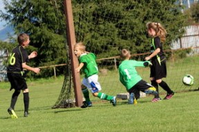 裁判员执法标准化培训取得阶段性成果，裁判员的执法原则