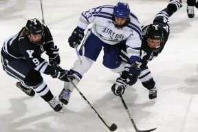 网球比赛数据可视化分析助力战术决策，网球 数据