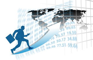 leyu.com-中国篮球职业联赛赛事运营管理优化方案，中国篮球竞赛制度改革